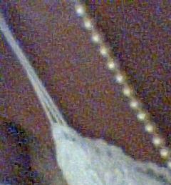 Immagine profilo di perlesullapelle